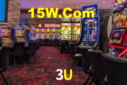 3U